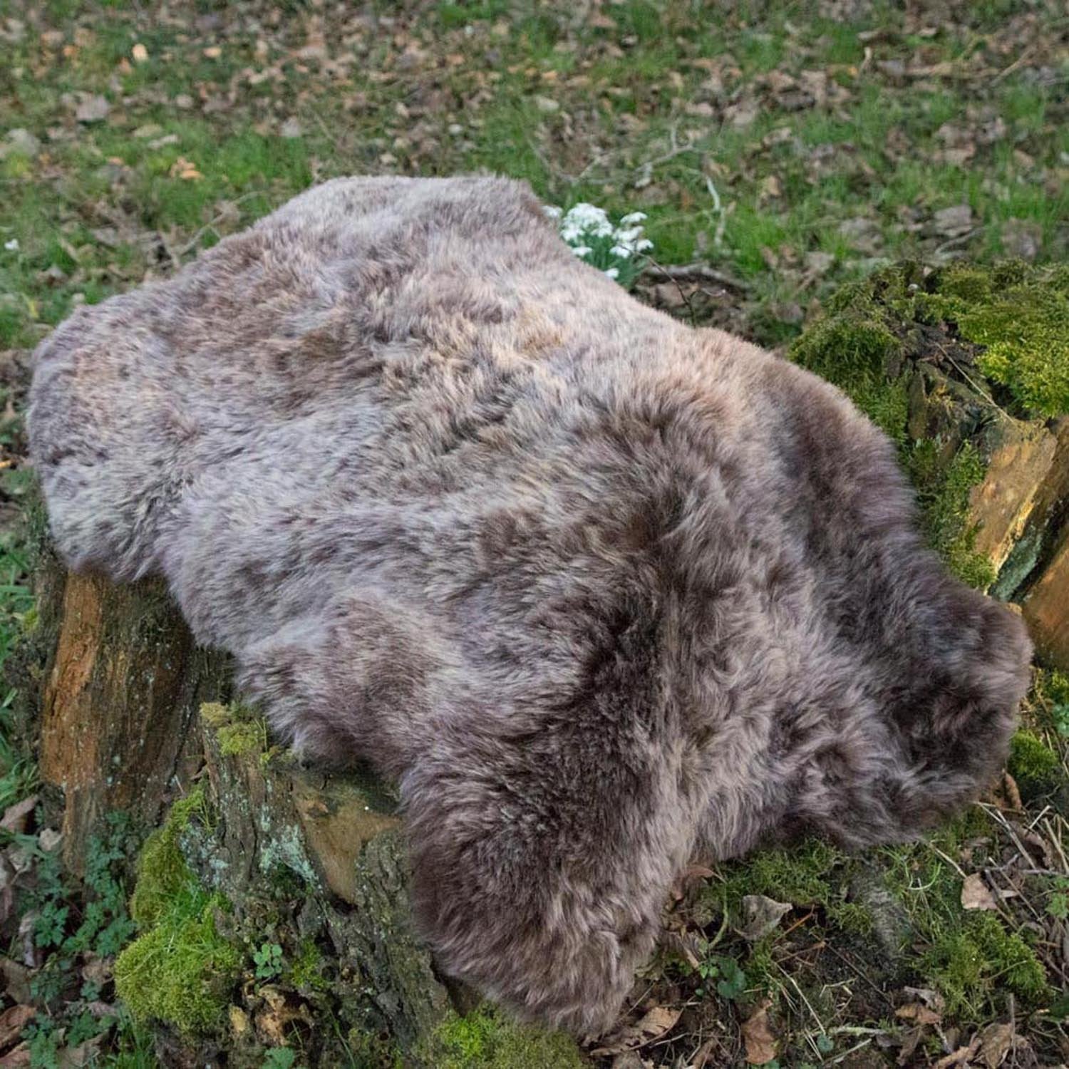 Icelandic Sheepskin Shorn 50mm Rich Chestnut Brown Large - Wildash London