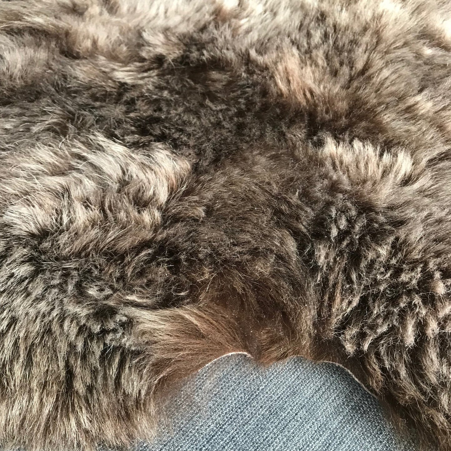 Icelandic Sheepskin Shorn 50mm Rich Chestnut Brown Large - Wildash London