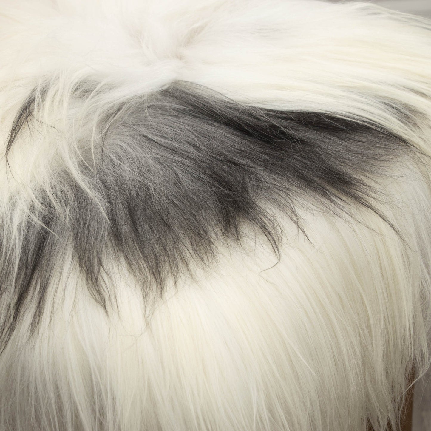 Icelandic Sheepskin Square Seat Cover 37cm White & Natural Grey - Wildash London