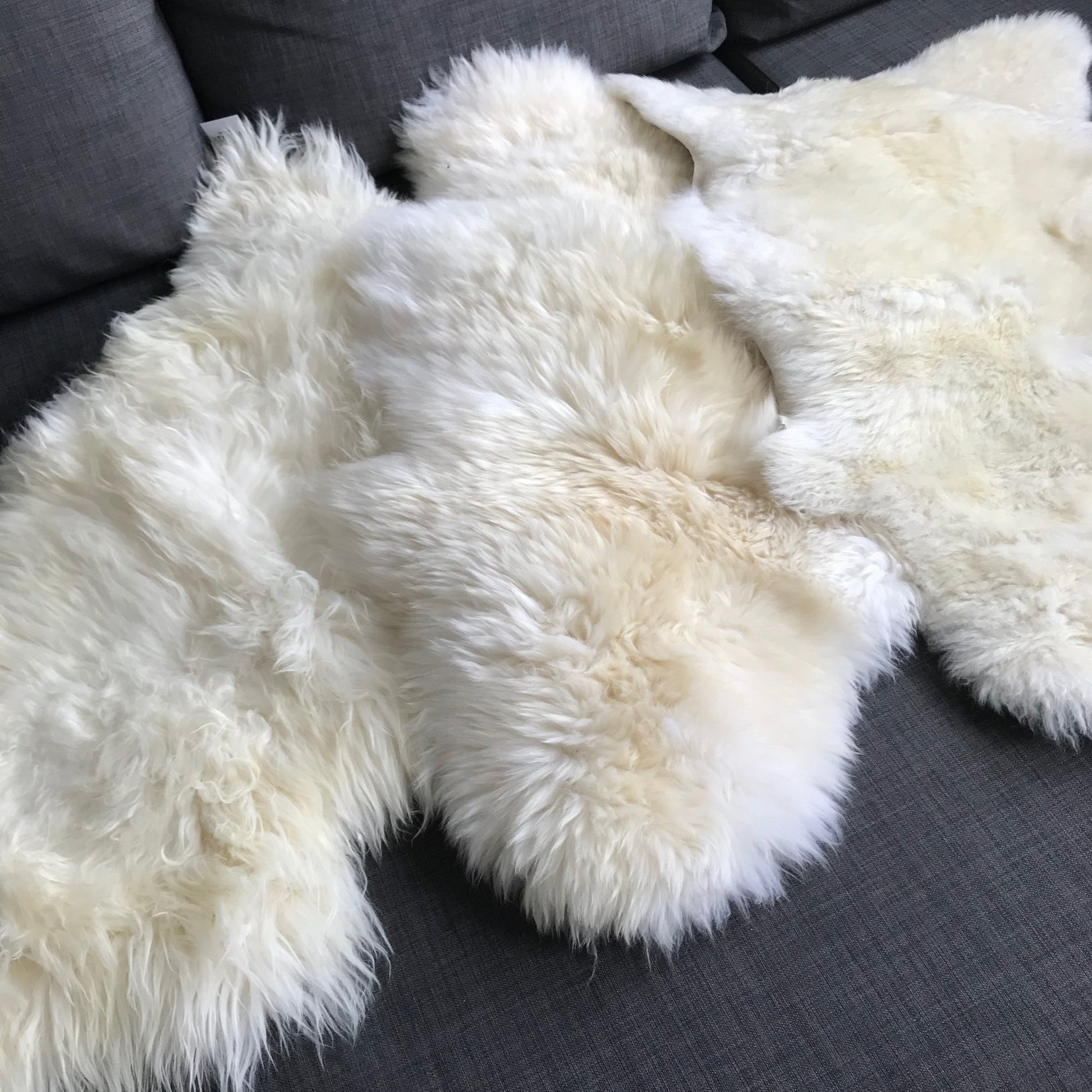 Luxurious British Sheepskin Rug Hide Ivory White Small Long Fur - Wildash London