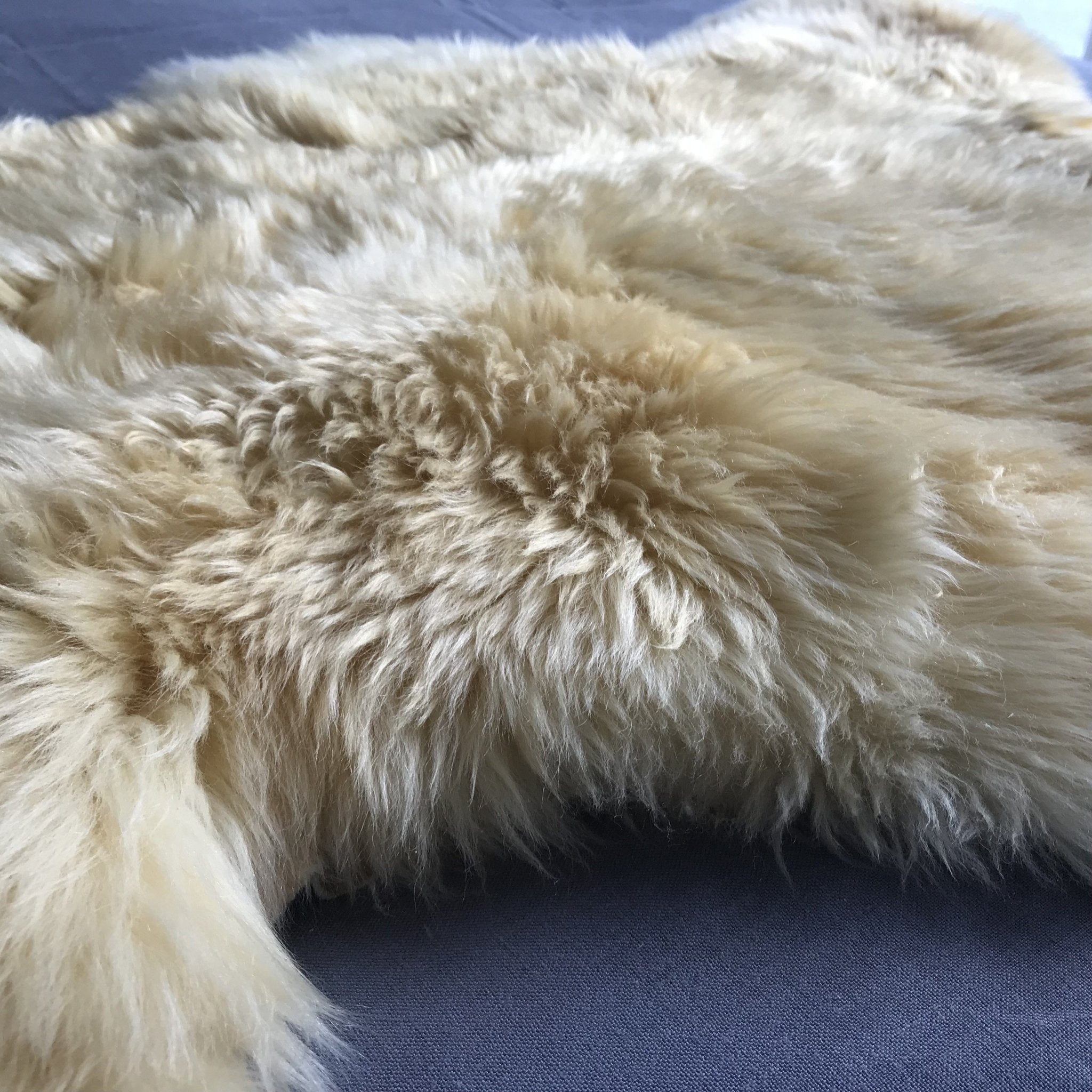 Medical Grade Sheepskin | Baby Sheepskin | Hypoallergenic Relugan Long Fur - Wildash London