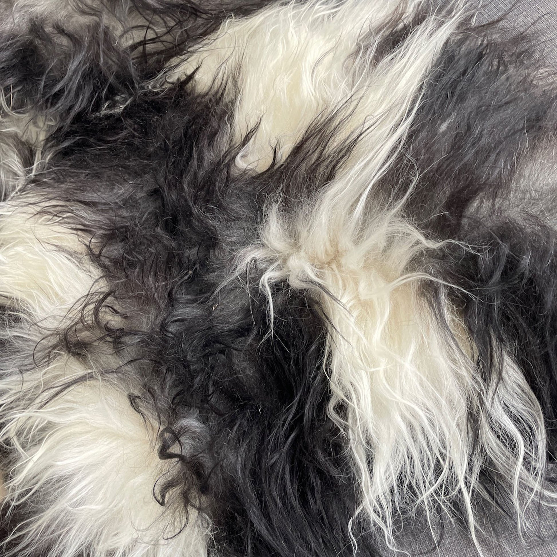 Medium Icelandic Natural Grey Undyed Sheepskin Unique Sheep Skin Ecofriendly Sustainably Tanned 1604ILSPM-19 - Wildash London