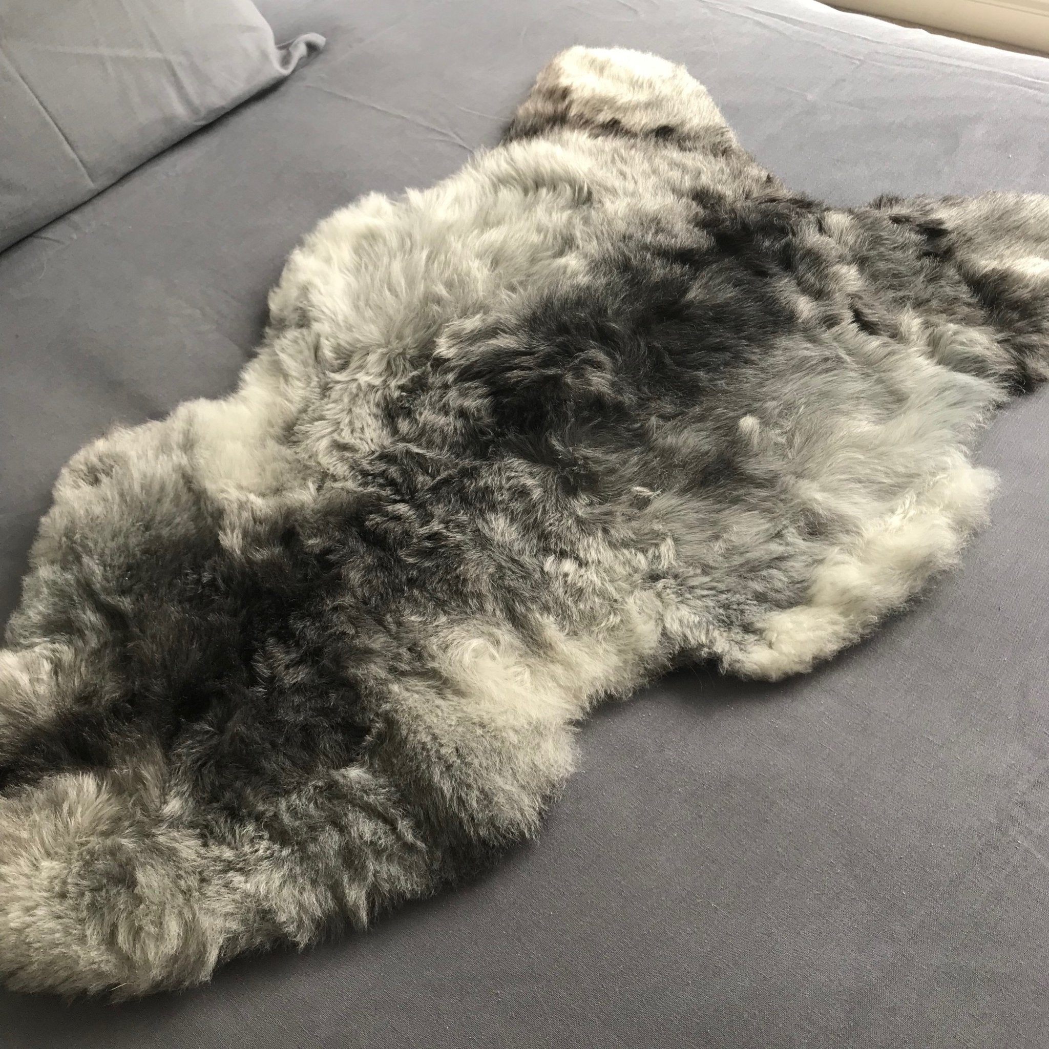 Natural Grey Icelandic Shorn 50mm Sheepskin Hide | Luxury Sheep Skin - Wildash London