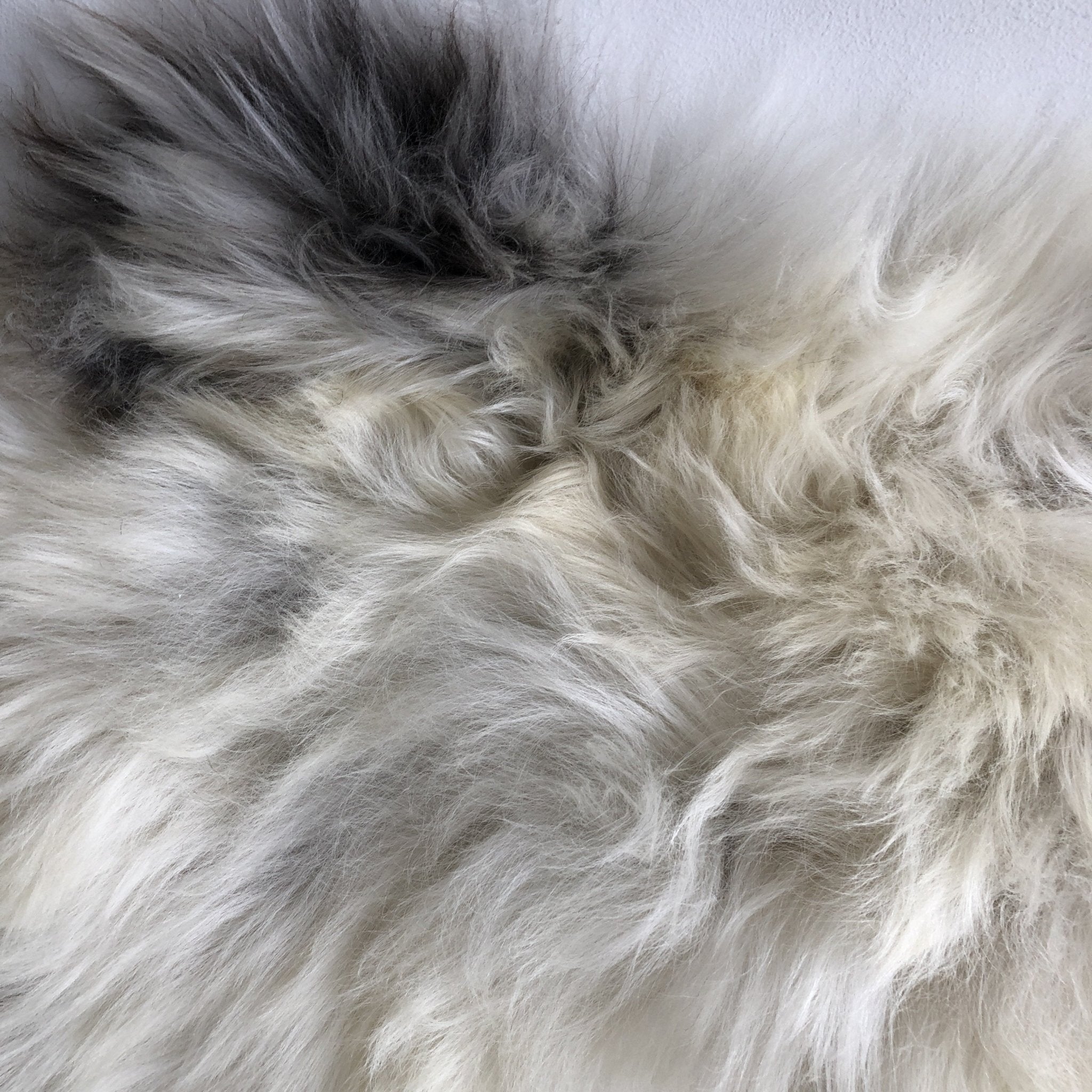 Rare Breed Champagne Mix Sheepskin Rug 100% Natural Free-range - Wildash London