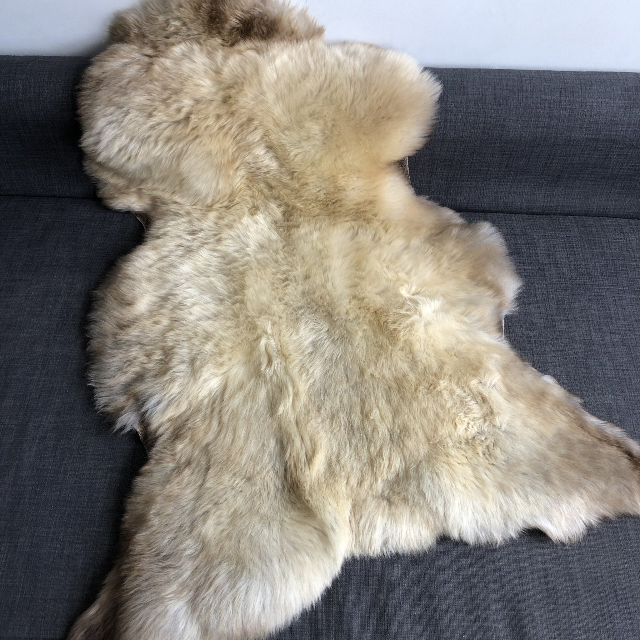 Rare Breed Champagne Mix Sheepskin Rug 100% Natural Free-range - Wildash London