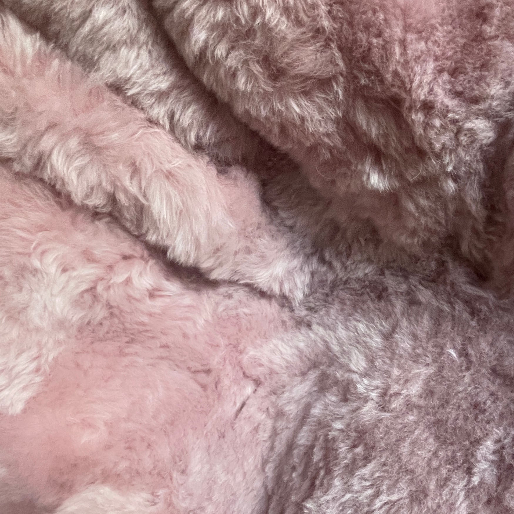 Sheepskin Beanbag Chair Icelandic Shorn Pale Pink Sheepskin Bean Bag, Sheep Skin Pink - Wildash London
