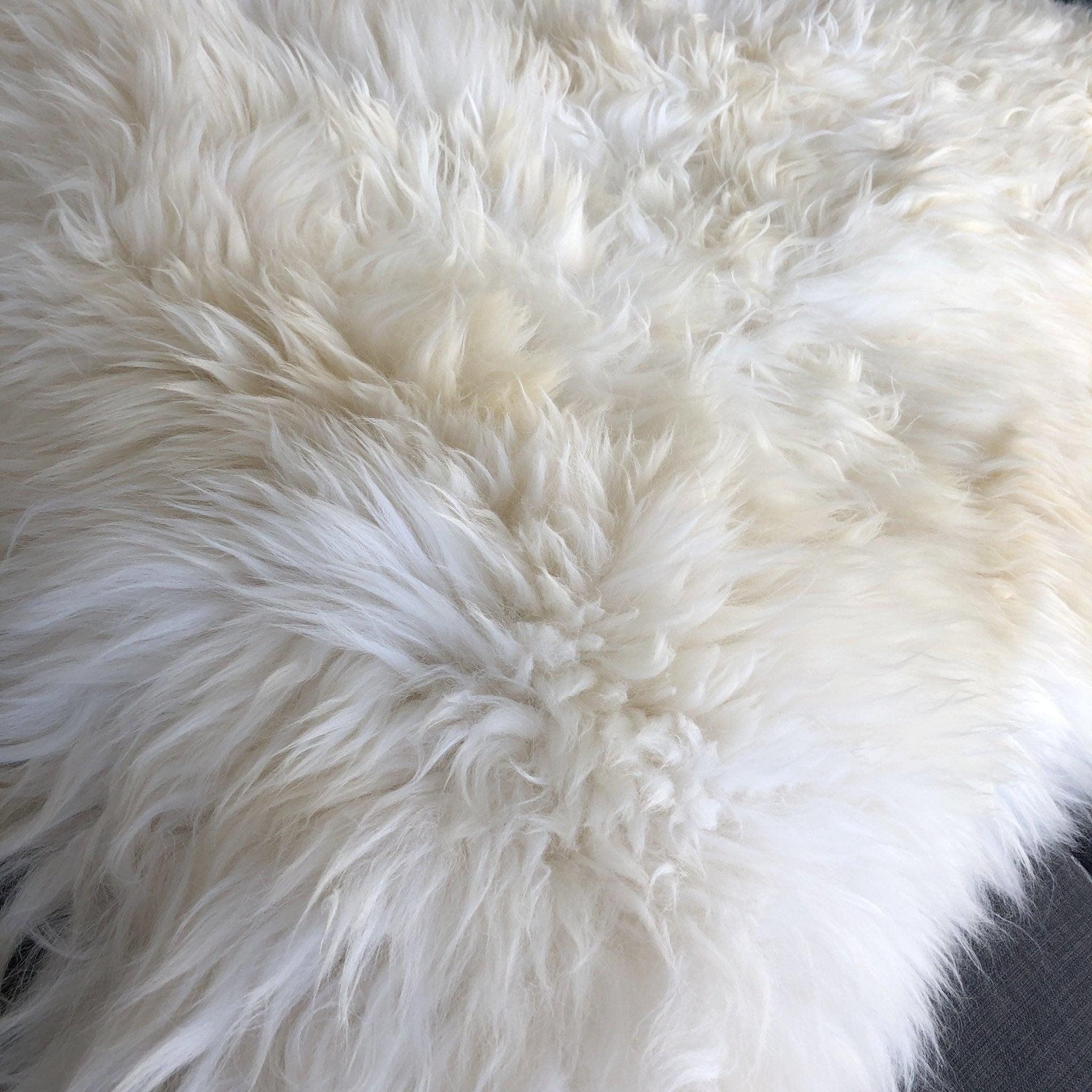 XXL British White Sheepskin Rug 100% Natural Ecofriendly - Wildash London