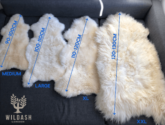 XXXL 130cm+ (51”+) Top Quality British White Sheepskin Rug 100% Natural Free-range UK Ecofriendly Huge Sheepskin Skin - Wildash London