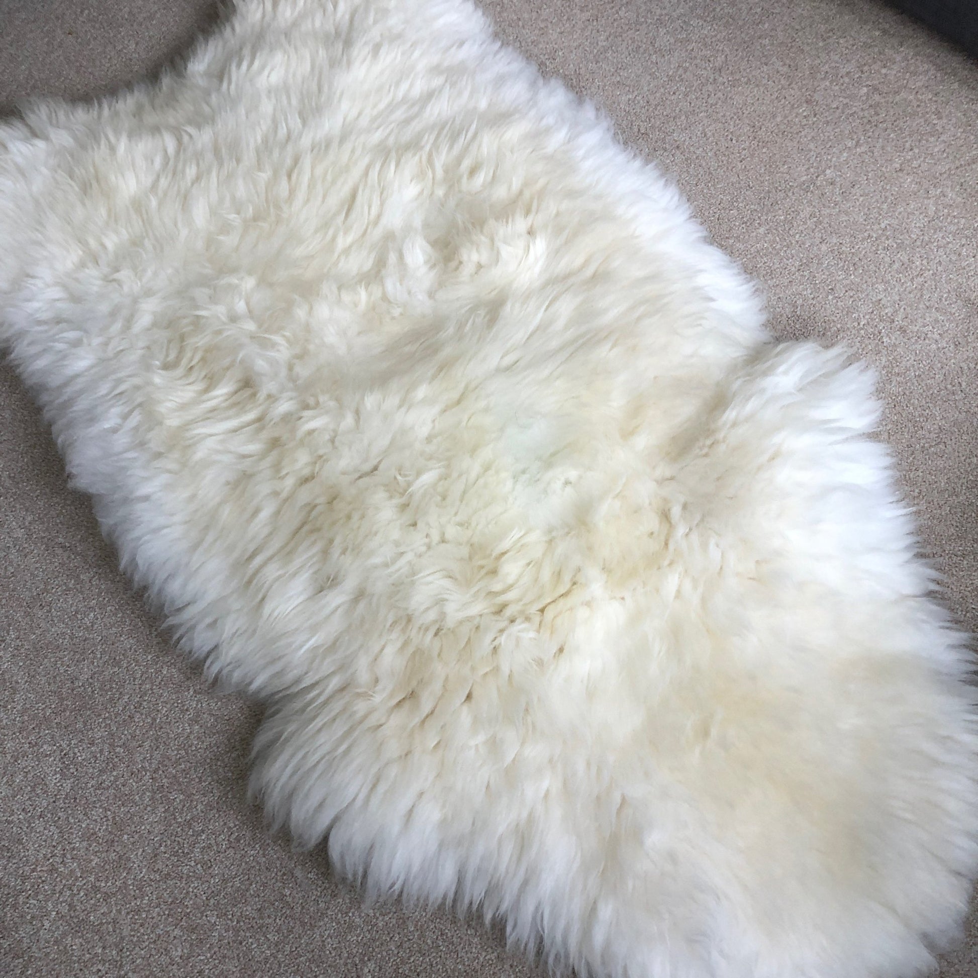 XXXL 130cm+ (51”+) Top Quality British White Sheepskin Rug 100% Natural Free-range UK Ecofriendly Huge Sheepskin Skin - Wildash London